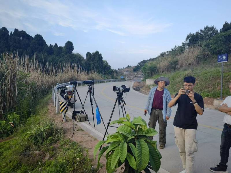 兴山县电商产品视频拍摄制作：如何打造高转化的电商视觉内容？